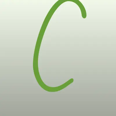 Четыре Лапы Груминг